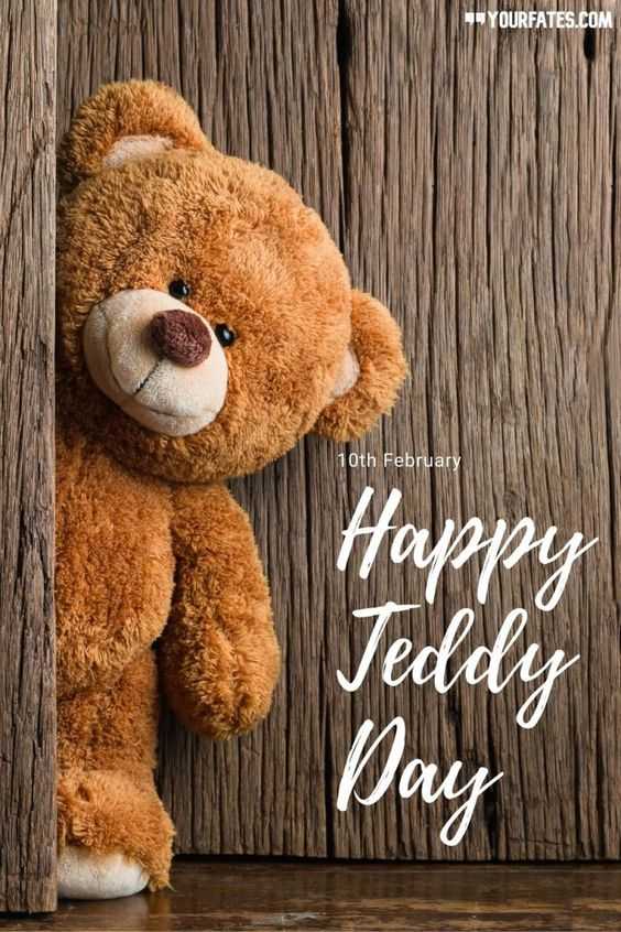 Happy Teddy Day 2024 50+ Quotes, Images, and Wishes to Share on