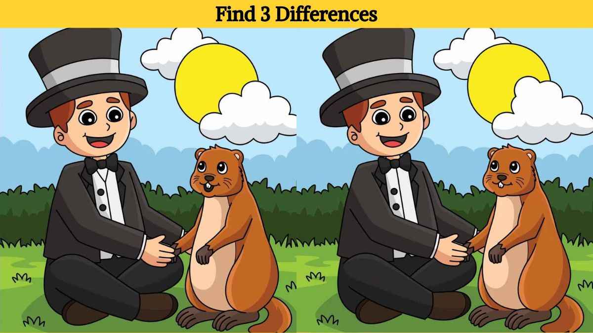 Find 3 differences between pictures of a man and his pet in 14 seconds!