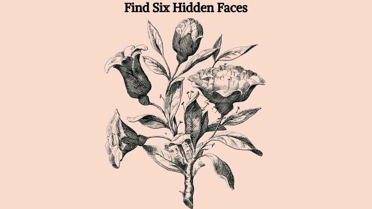Test your visual prowess by finding six hidden faces in the picture in 9 seconds!