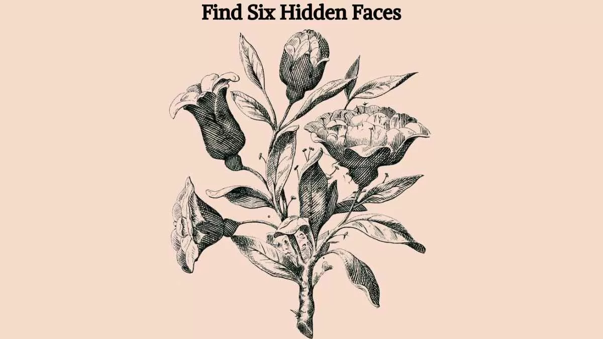 Find six hidden faces