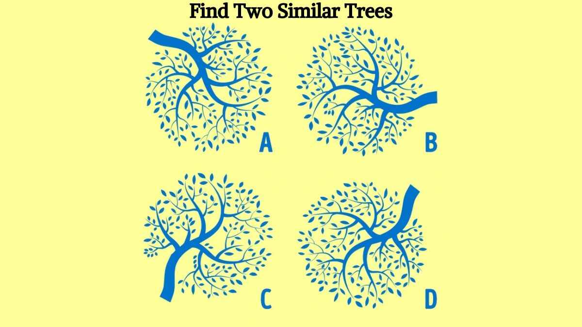 Picture Puzzle IQ Test: Find Two Similar Trees In 5 Seconds!