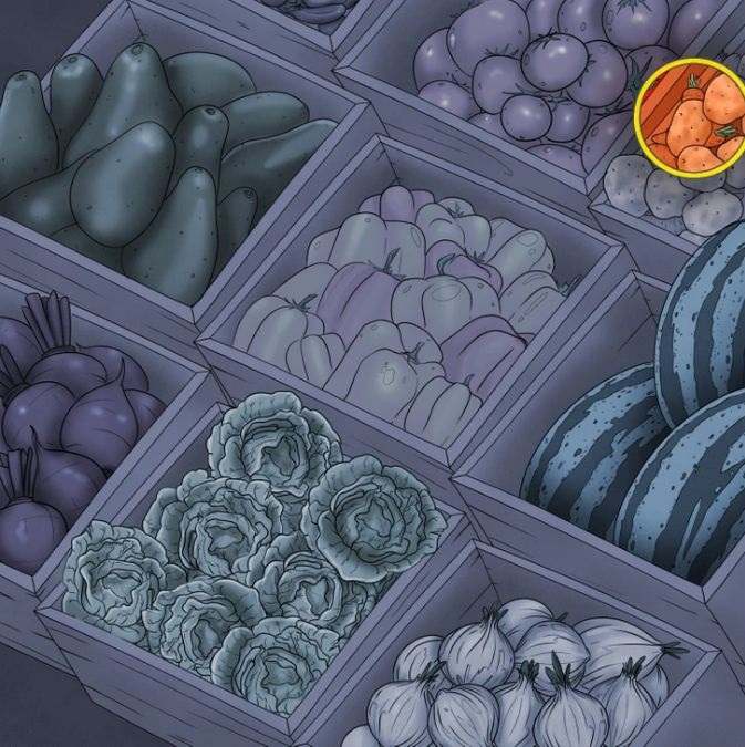 tricky optical illusions with answers