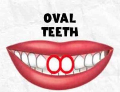 Oval Teeth Shape Personality Traits