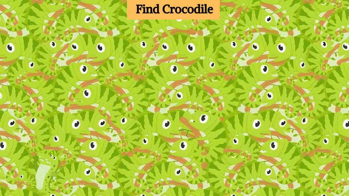 Only the sharpest eyes can find a crocodile in the picture in 5 seconds! 