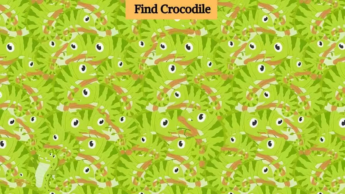Find crocodile