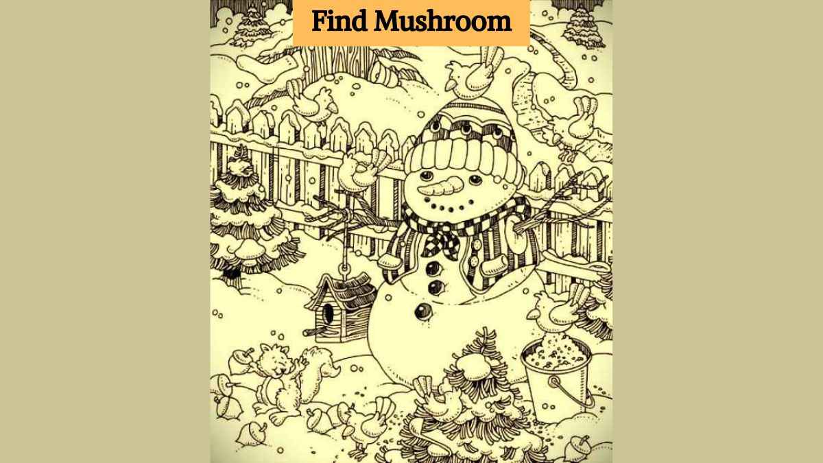 Optical Illusion: Find a mushroom in the picture in 7 seconds!