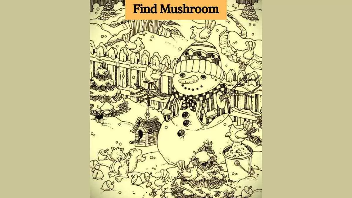 Find the mushroom