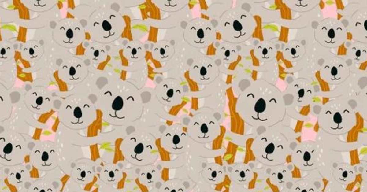 Seek and Find Puzzle: Only People With the Perfect Vision Can Spot the Rabbit Among Koalas in 15 Seconds