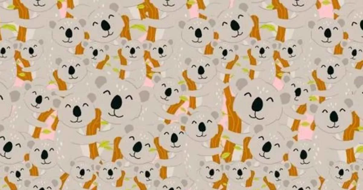 Spot the Rabbit Among Koalas in 15 Seconds