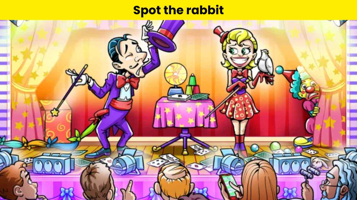 Only 2 out of 10 people can spot the rabbit at the magic show in 4 seconds.