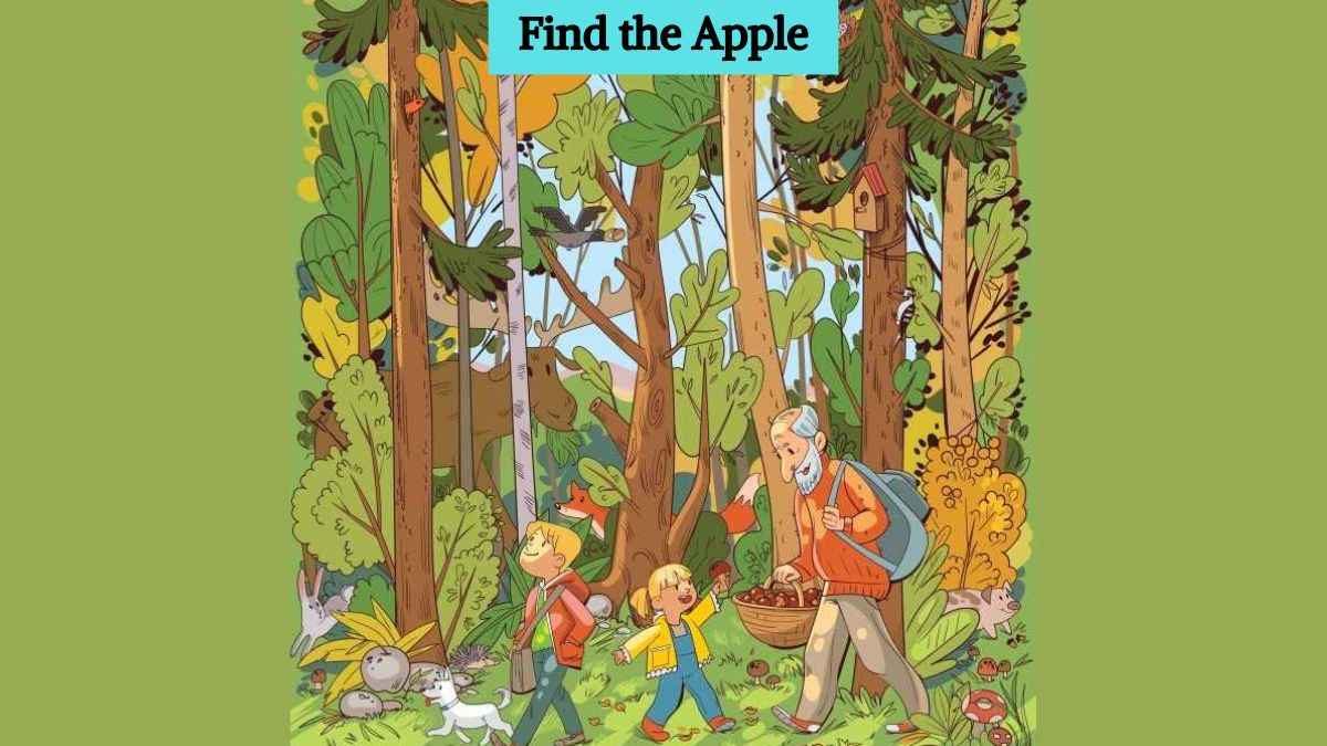 Optical Illusion: Find the hidden apple in the forest in 5 seconds!