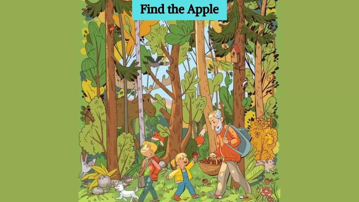 Find hidden apple in forest