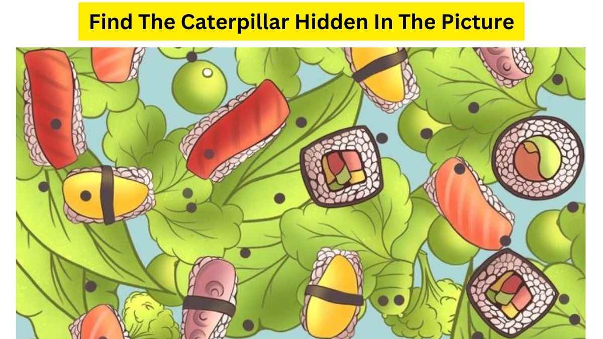 All Can See Plate of Sushi But Only A PUZZLE CHAMPION Can Find The Caterpillar Within 15 Seconds. Good Luck!