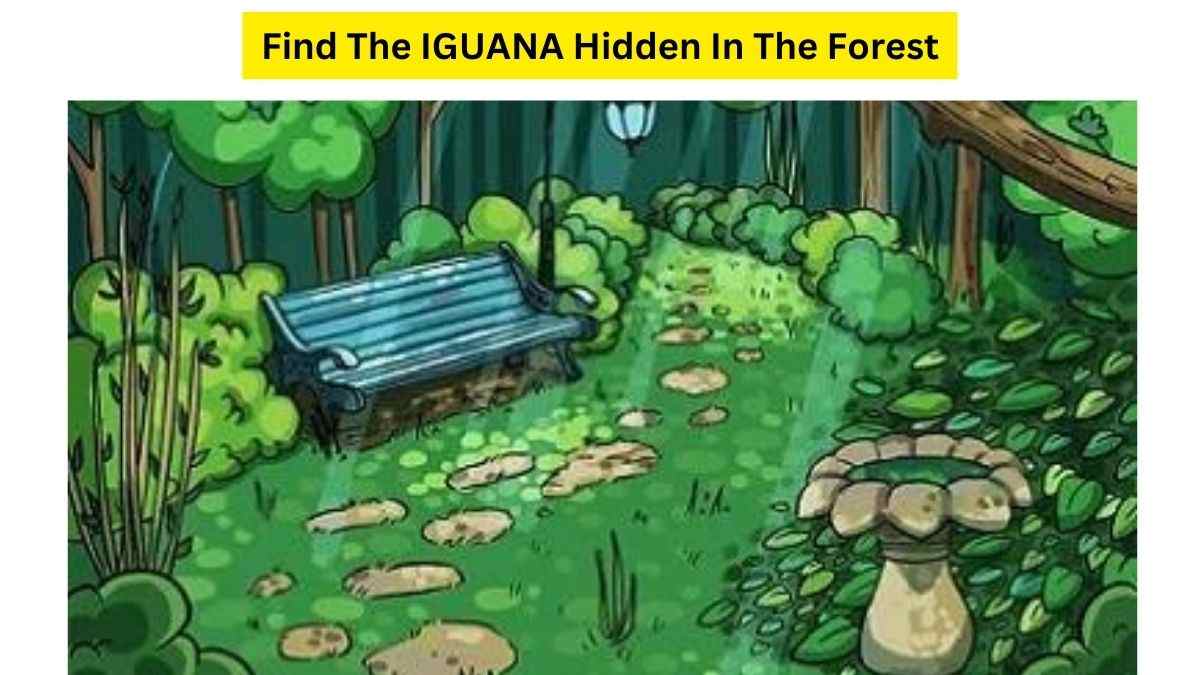 All Can See Green Lush Forest But Only 1% Person People With 20/10 Vision Can Find The Iguana In 35 Seconds!