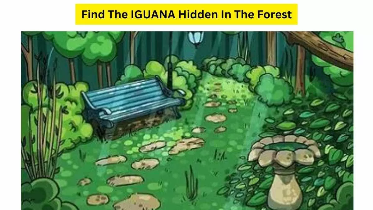 Spot The IGUANA Hidden In The Picture!