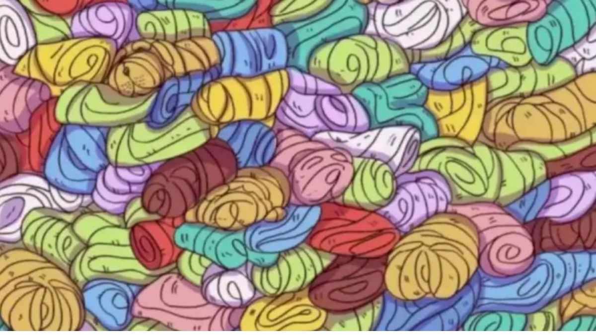 Use Your 20/20 Vision To Spot A Dog Hidden Among Towels In 12 Seconds!