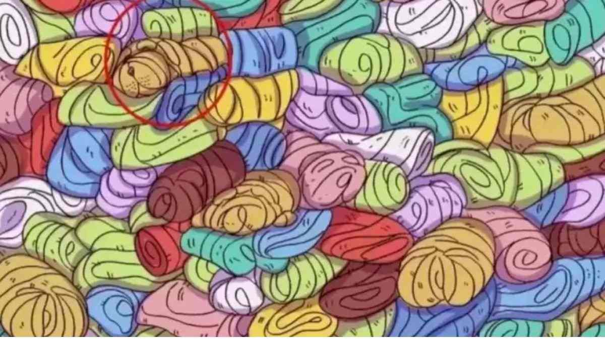 optical illusions with answers