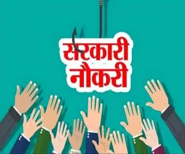 आरएसएमएसएसबी जूनियर असिस्टेंट, एलडीसी भर्ती 2024 के लिए आवेदन प्रक्रिया, अधिसूचना पीडीएफ और अन्य जानकारी यहां देख सकते हैं।