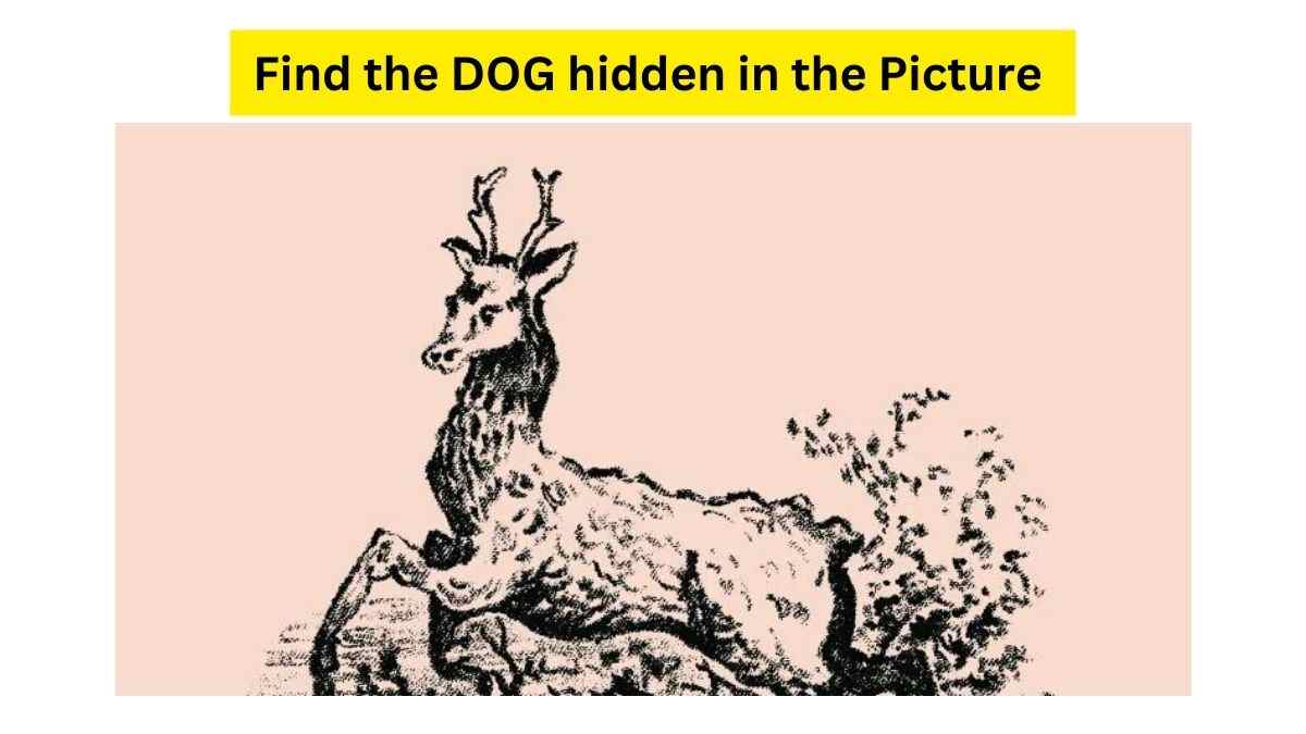 You Have The Brain Of A SUPERCOMPUTER If You Can Find DOG In This Vintage Deer Optical Illusion. 9 Seconds Left!