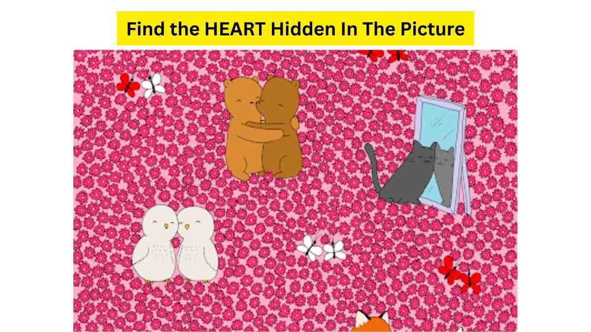 Love Brain Teaser: Only Your TRUE VALENTINE Can Find The Tiny Heart Within 5 Seconds. Good Luck!