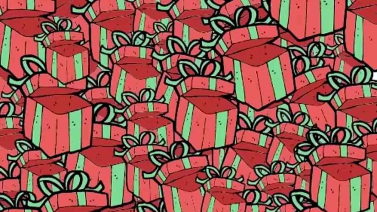 Only 1% With Super Vision Can Spot The Bag Of Cash In 15 Seconds! 