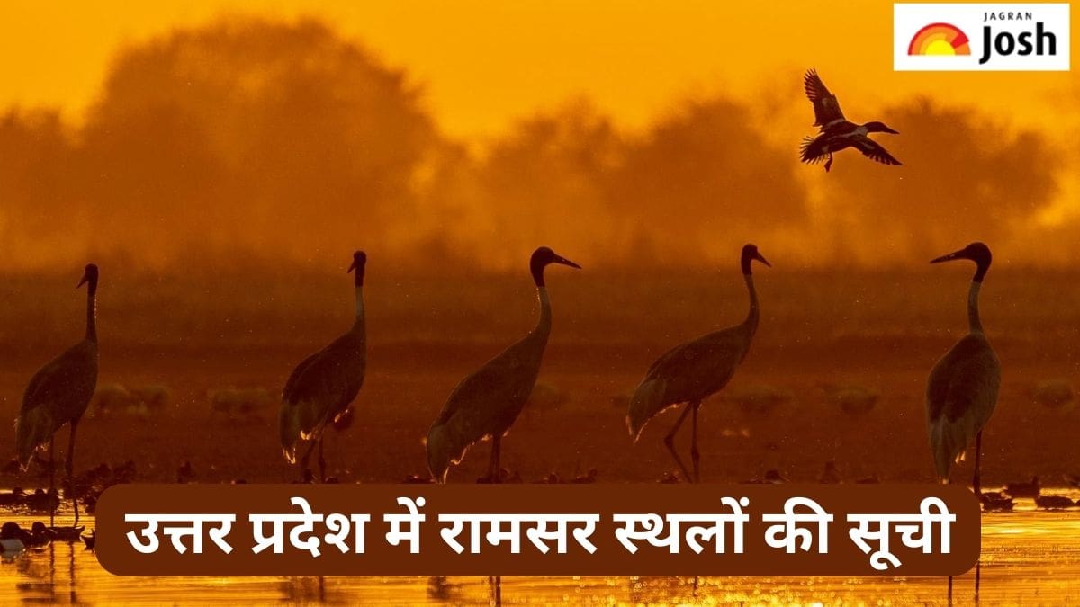 उत्तर प्रदेश में रामसर स्थलों की सूची, पढ़ें