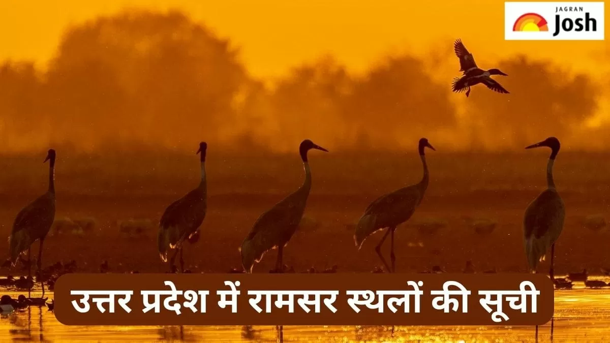यूपी में रामसर स्थलों की सूची