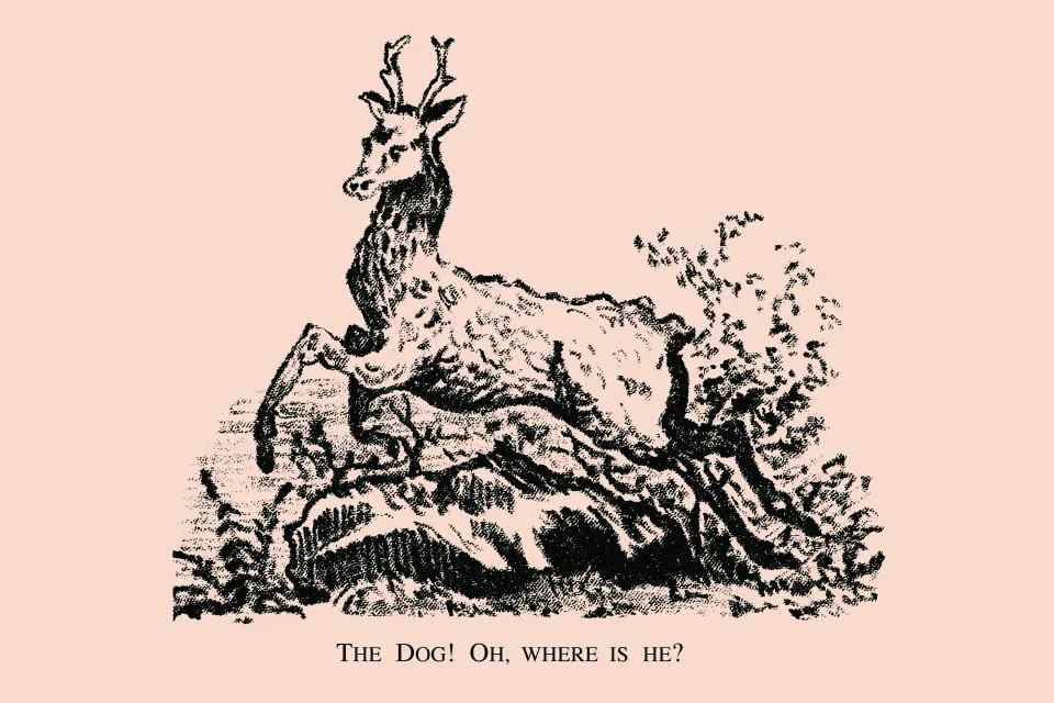 where is the dog hidden in the picture