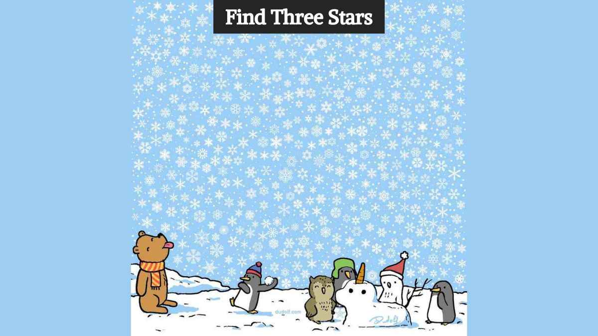 Optical Illusion Eye Test: Find three hidden stars in the picture in 8 seconds!