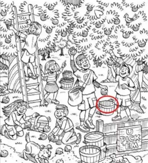 optical illusions with answers