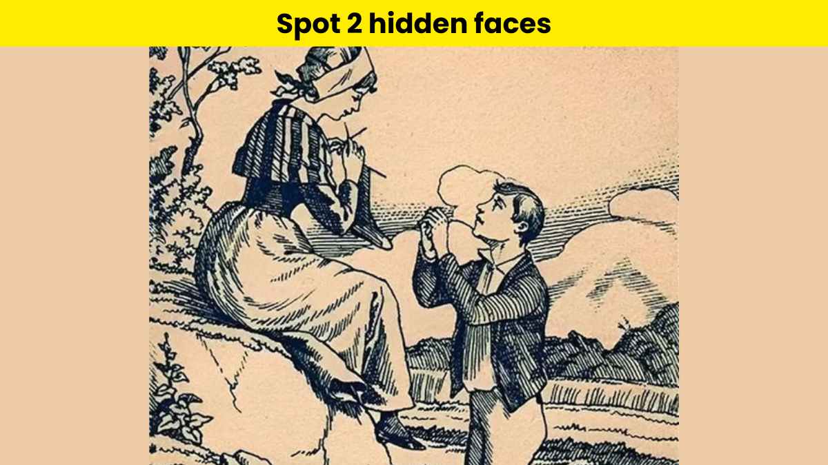You are highly attentive if you can spot 2 hidden faces in the couple picture in 8 seconds.