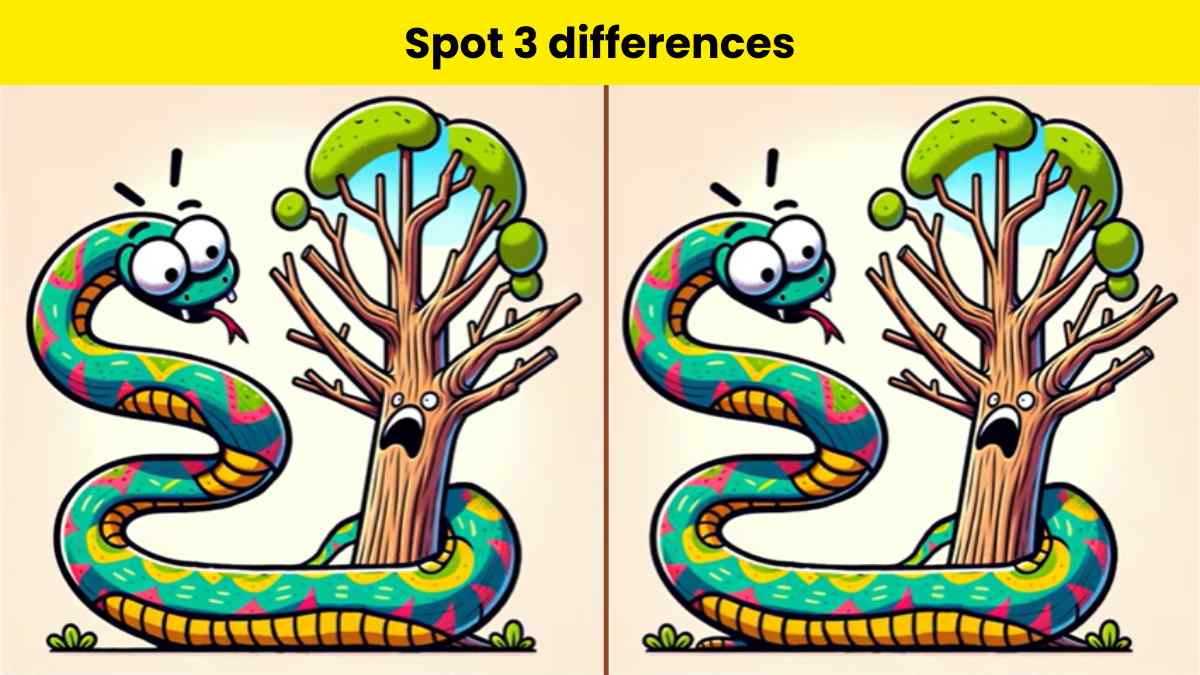 Spot 3 differences between Anaconda pictures in 9 seconds.