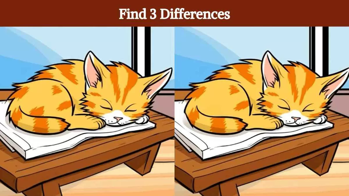 Find 3 differences in 12 seconds