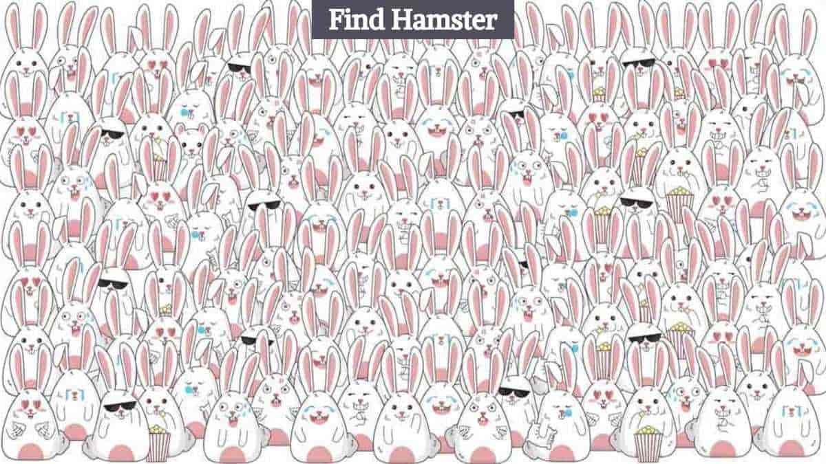 Optical Illusion: Find a hamster among the rabbits in 7 seconds!