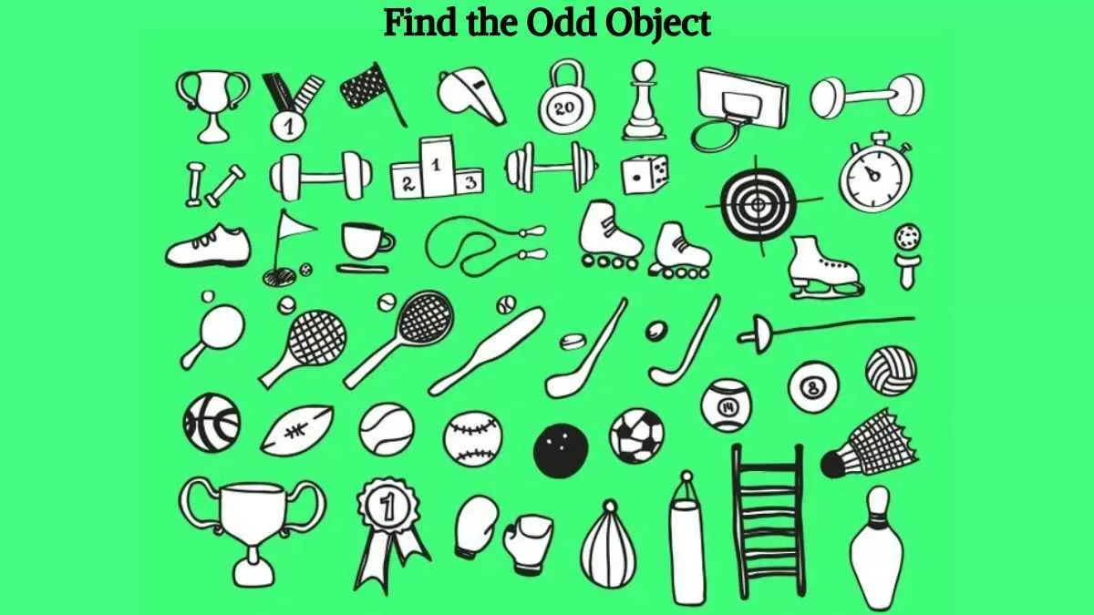 Find the odd object