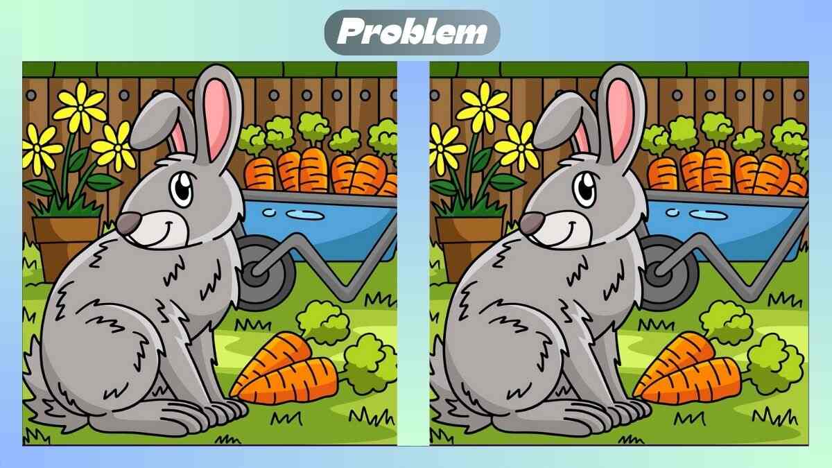 Find 3 Differences In 21 Seconds In The Rabbit Enjoying Carrots Scene
