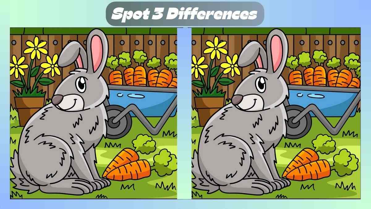 Find 3 Differences In Rabbit Enjoying Carrots Scene In 21 Seconds