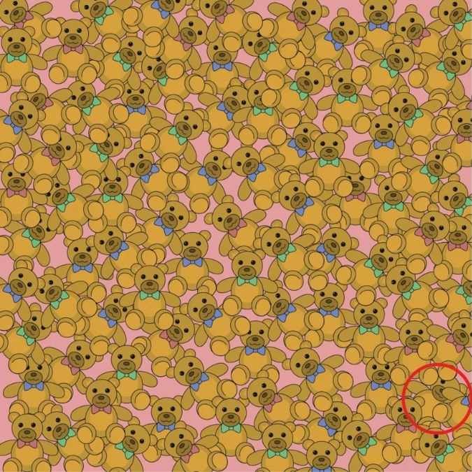 picture puzzles with answers