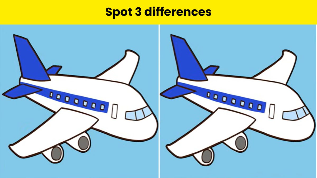 How To Draw Airplanes For Kids: A Step By Step Drawing Book To Draw Plane  In Simple And Easy Way For Kids.: Tolery, Marlo: 9798529845745: Amazon.com:  Books