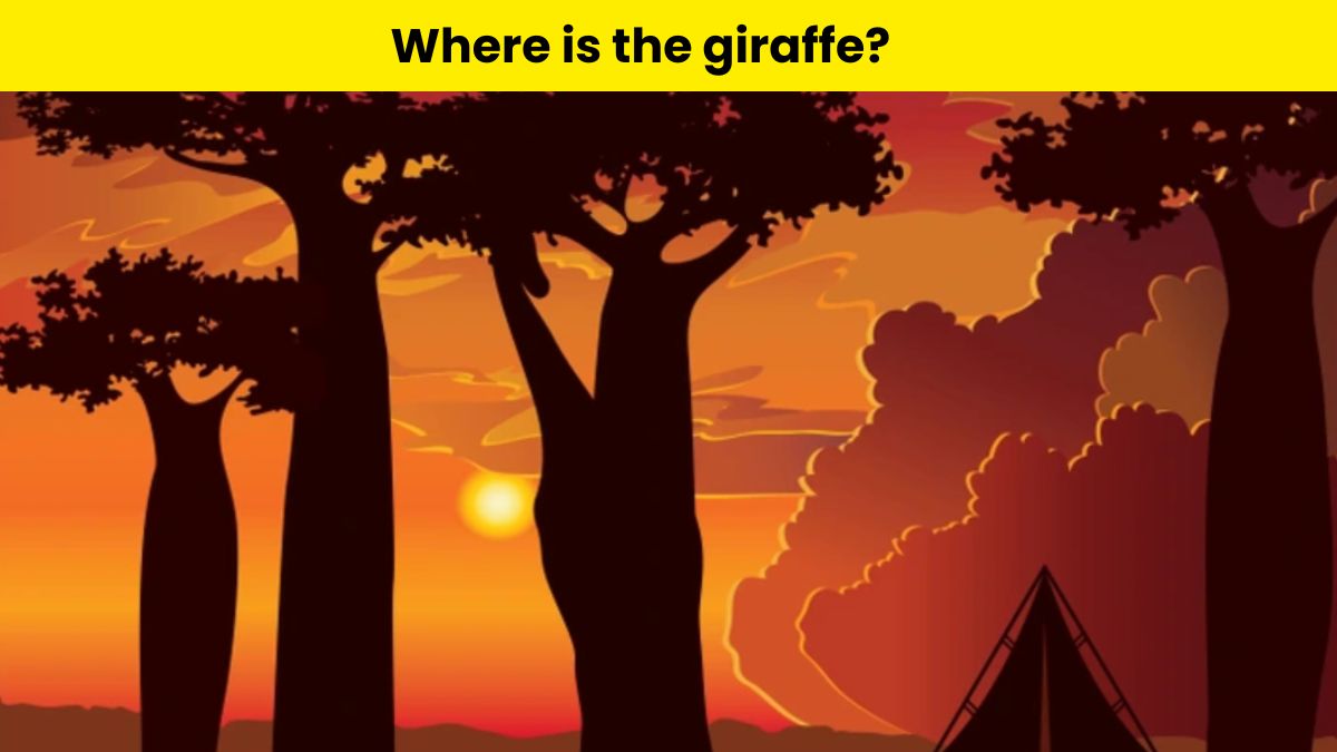 Only geniuses can spot the giraffe hidden in the savannah within 4 seconds. 