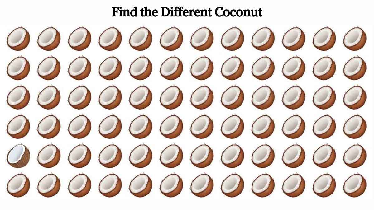 Optical Illusion: Find the different coconut in the picture in 4 seconds!