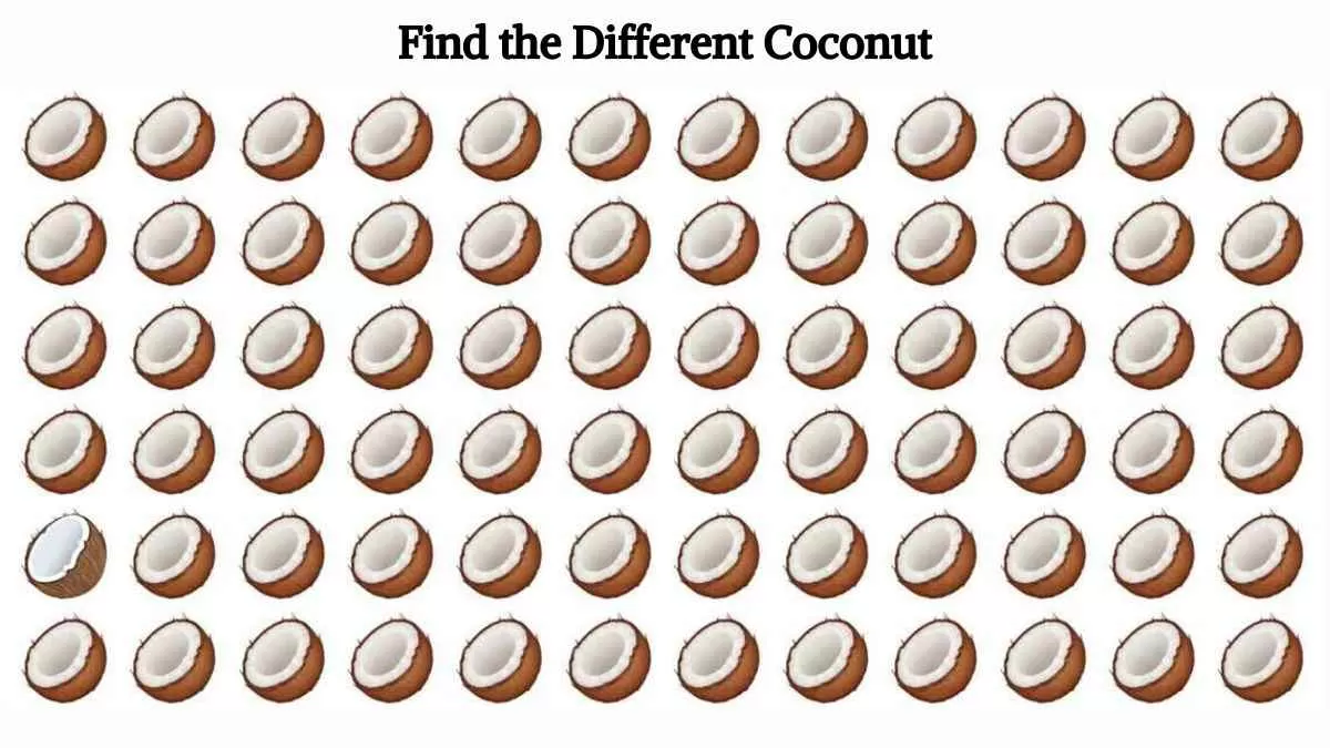 Find the different coconut