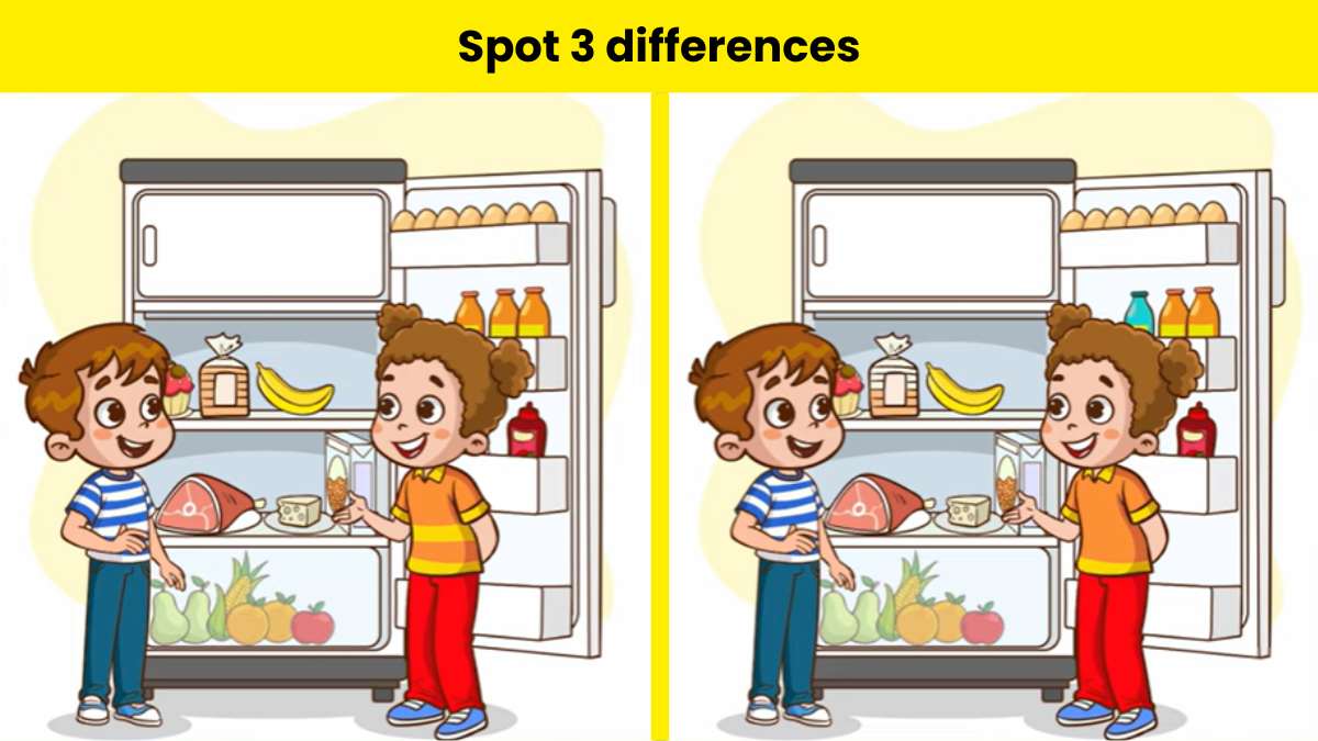 Spot 3 differences between the fridge pictures within 11 seconds.