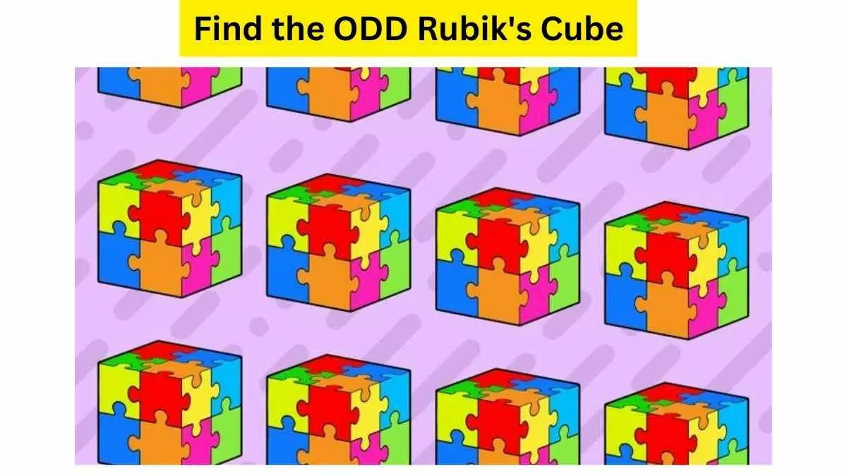Spot The Odd Rubik's Cube Hidden In The Picture!