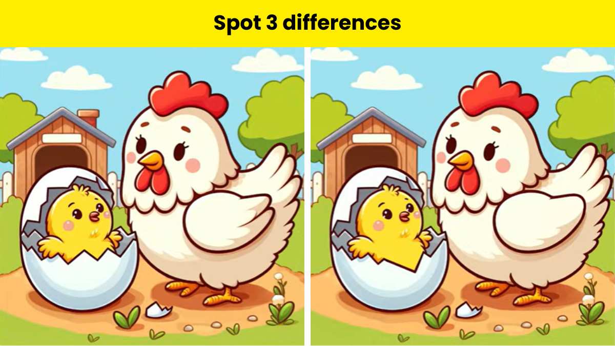 Spot 3 differences between the hen and hatchling pictures within 12 ...