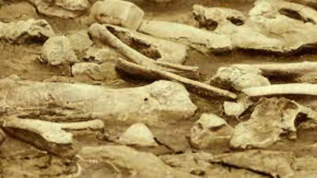 Top archeological discoveries of all times