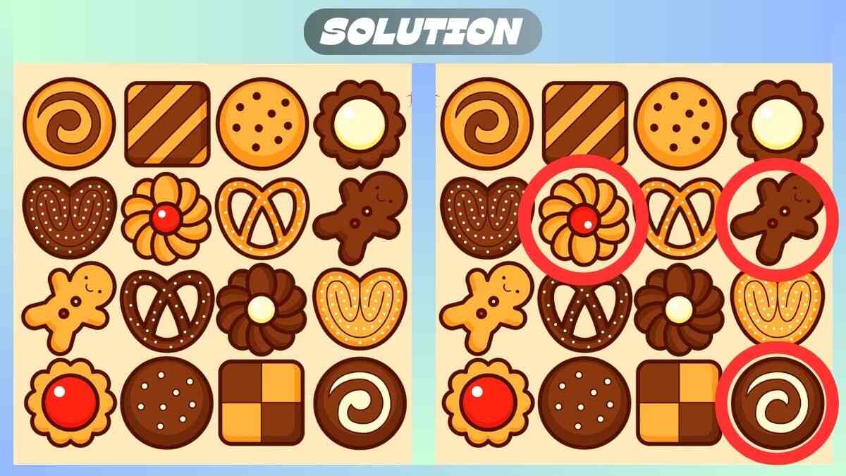 Find 3 Differences In 23 Seconds In This Sweet Cookie Picture