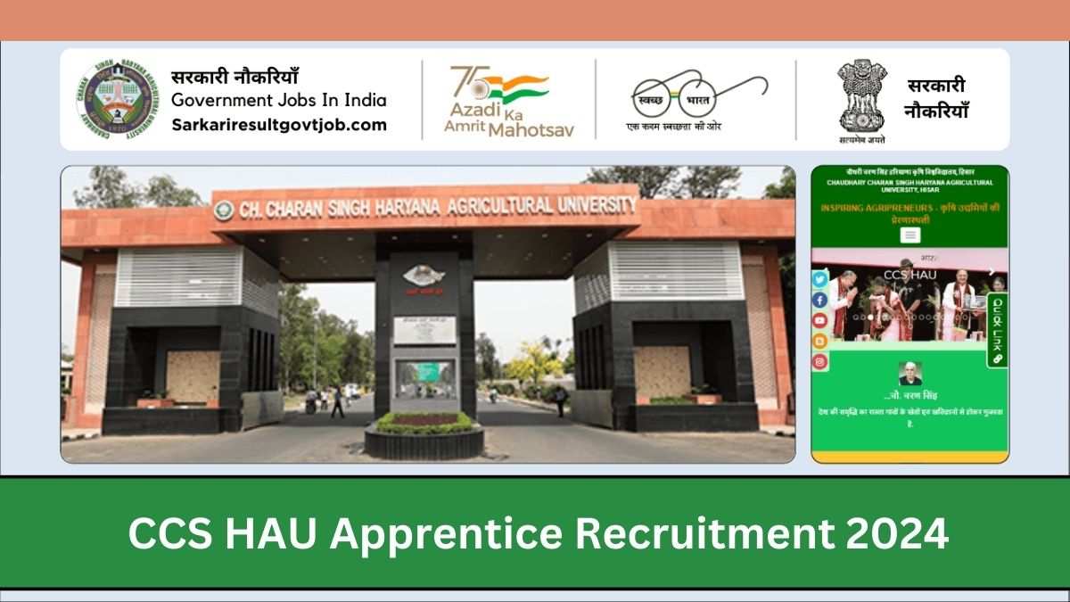 CCS HAU Apprentice Recruitment 2024: चौधरी चरण सिंह हरियाणा यूनिवर्सिटी में 382 पदों पर भर्ती, जानें डिटेल