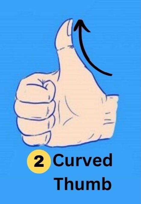 Curved Thumb Personality Traits