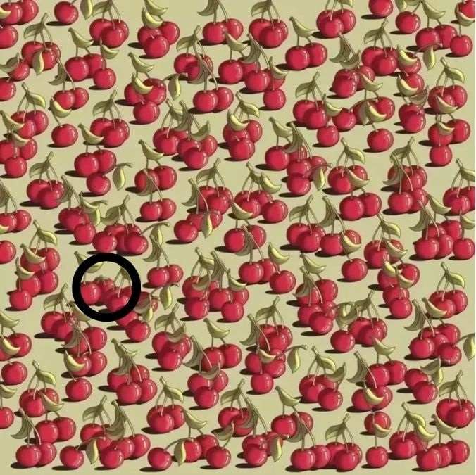 hidden objects optical illusions with answers